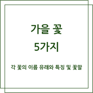 가을에 피는 꽃