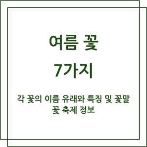 여름 꽃