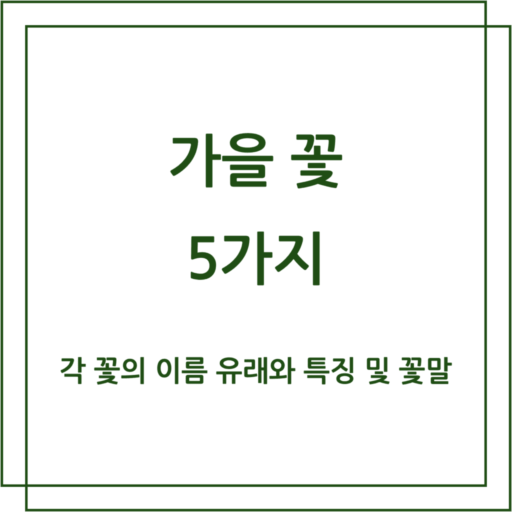 가을 꽃