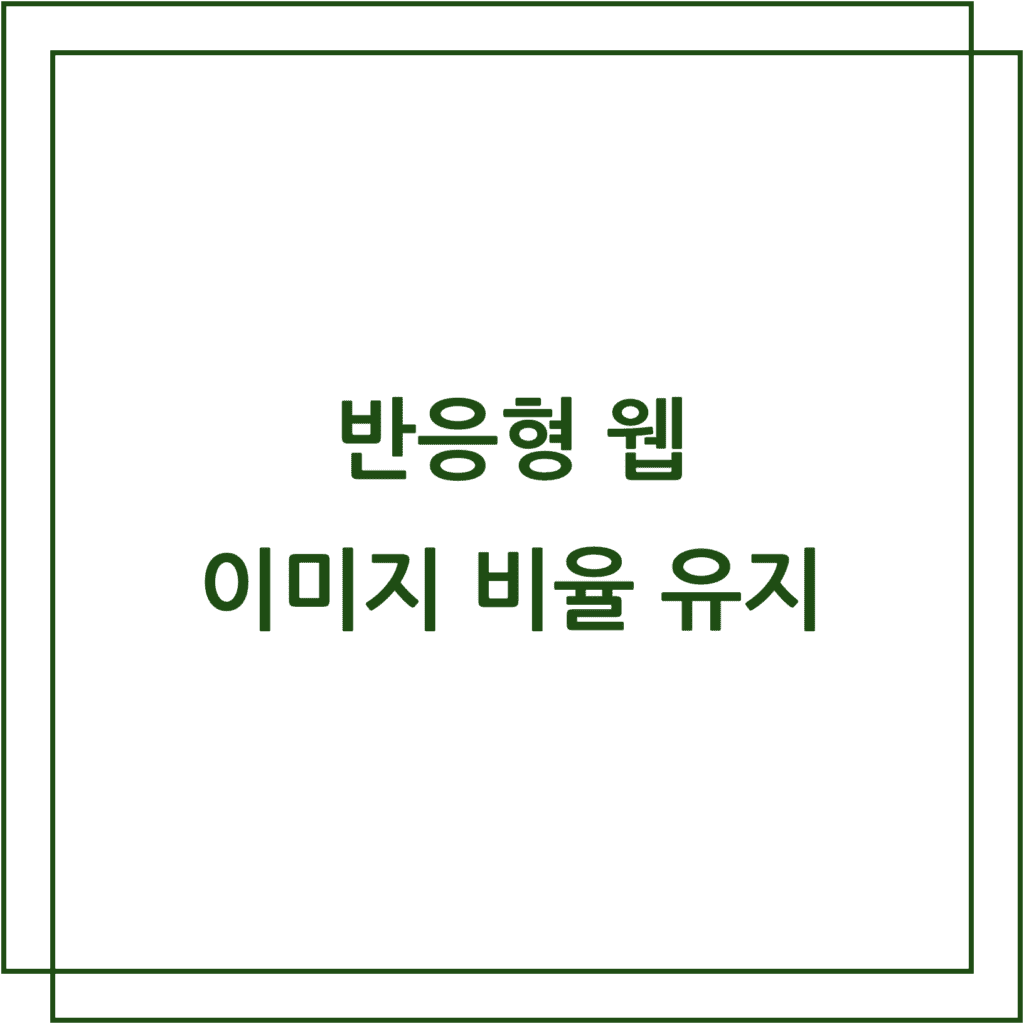 반응형이미지비율