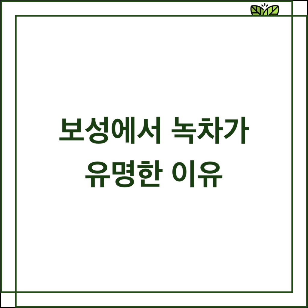 보성 녹차 유명한 이유